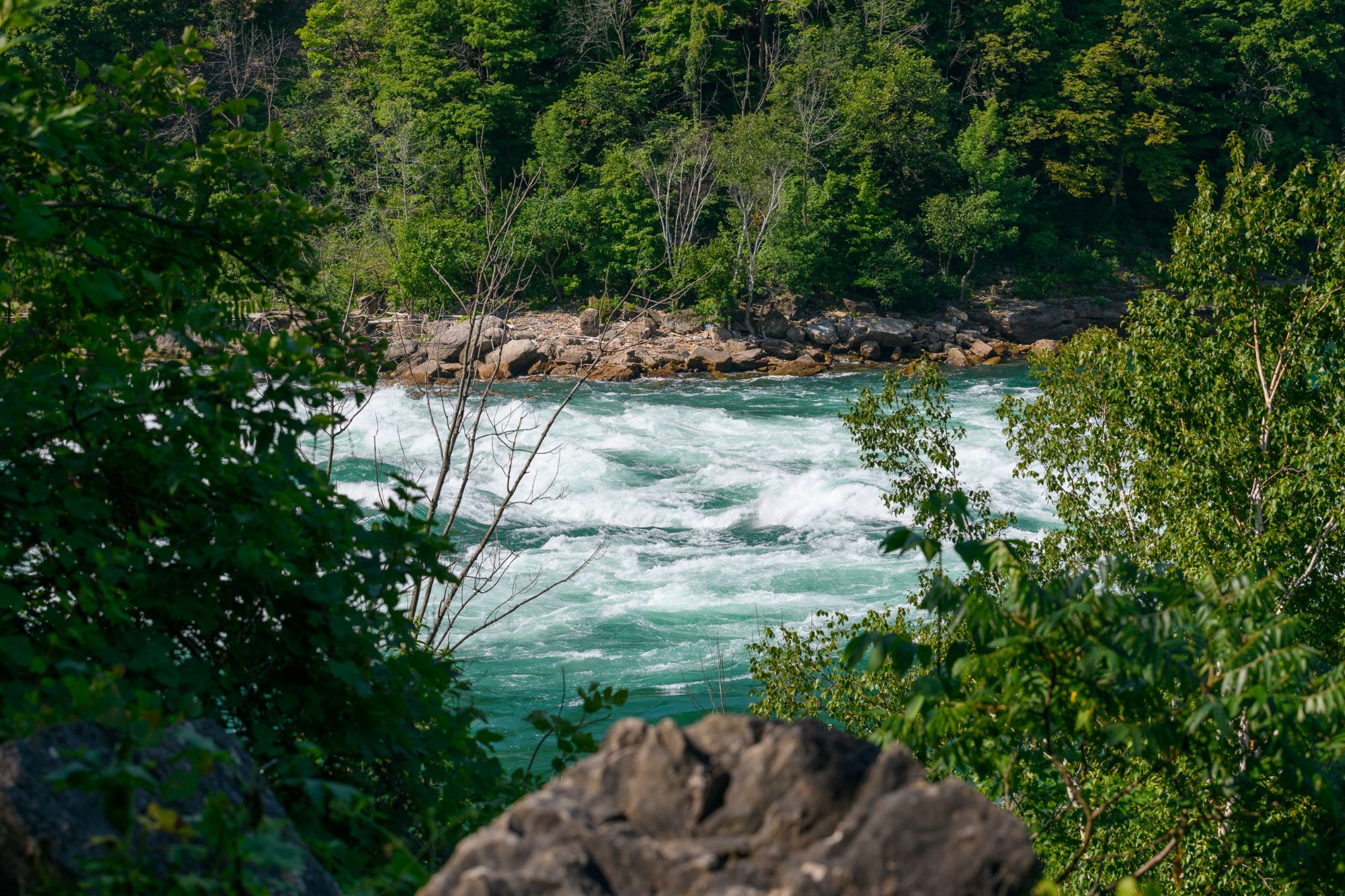 Gorge Trail, Falls, Jet Boat  (13 of 55)